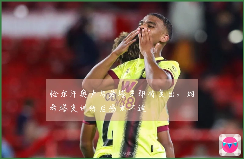 恰尔汗奥卢与劳塔罗即将复出，姆希塔良训练后感觉不适